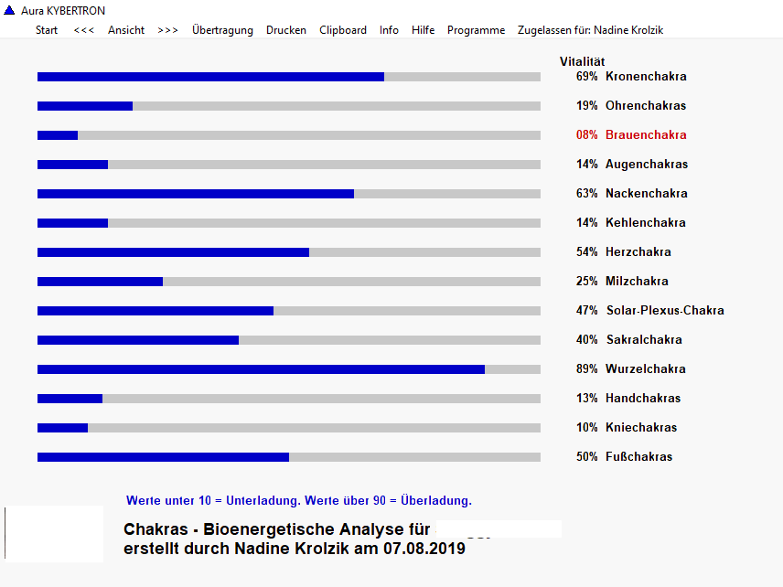 Beispiel einer bioenergetischen Analyse 1