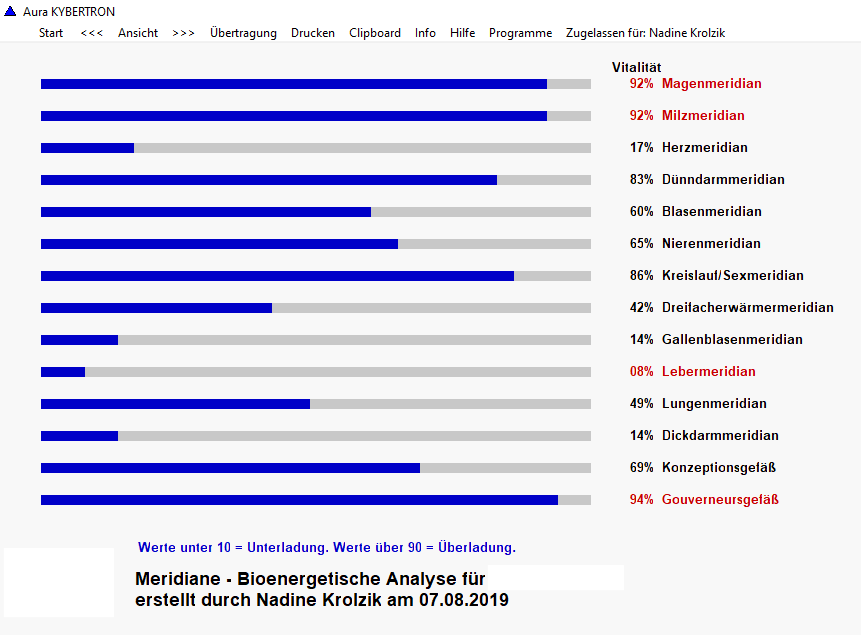 Beispiel einer bioenergetischen Analyse 2