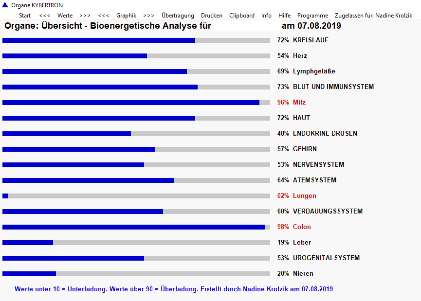 Beispiel einer bioenergetischen Analyse 3